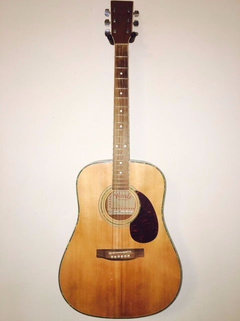 Woods Acoustic (Nashville Tuning)